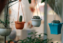 Tuininspiratie voor het buitenseizoen van 2025 *