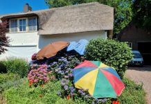 Reddingsactie voor Haarense Hortensia’s