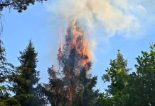 Brandstichting Staalbergven in Oisterwijkse bossen