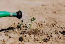 Dit zijn de voordelen van een regenton in je tuin *