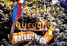 Zomeren met Beeldbank Oisterwijk: Filmimpressie Oisterwijk, 1971