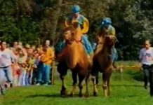 Beeldbank Oisterwijk: Hèùkel Gemèùkel – Driejaarlijks Heukeloms festijn