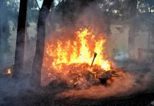 Vermoedelijk brandstichting opslagkeet en bosbrand in Oisterwijkse Kampina