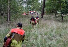 Brandweer waarschuwt voor brandgevaar in droge natuur Brandweer waarschuwt voor brandgevaar in droge natuur