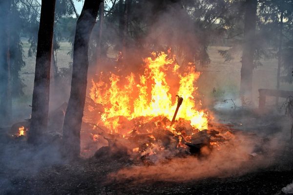 Vermoedelijk brandstichting opslagkeet en bosbrand in Oisterwijkse Kampina