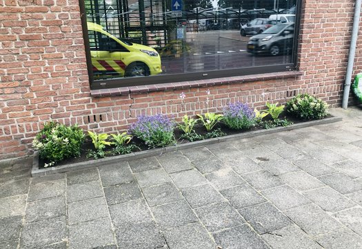 Vraag een gratis geveltuintje aan