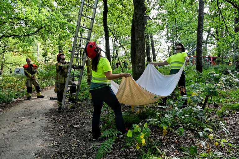 Poesjes uit boom gehaald door brandweer