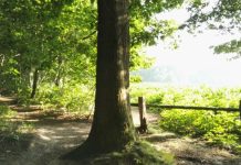 O’ wat ben je mooi