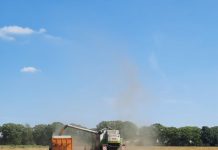 O’ wat ben je mooi