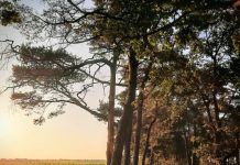 O’ wat ben je mooi