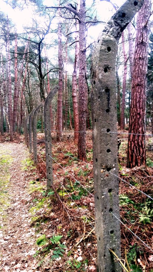 Maand van de Geschiedenis: Herinneringen aan de oorlog (vol)