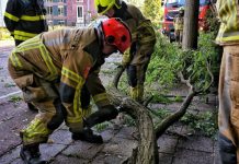 Zware boomtak op de weg door storm in Oisterwijk