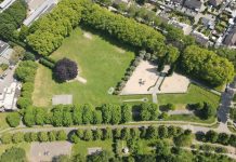 Kastanjes ziek maar lindebomen worden zo mogelijk verplaatst