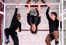 GenO: Freerun en dans in diverse vormen