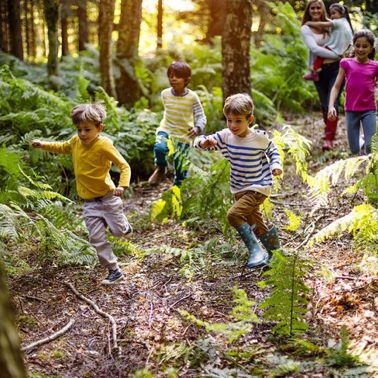 GenO: Dieren zoektocht in Oisterwijkse bossen