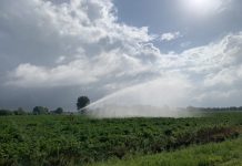 Lezing Tobben of Toppen? Een zonnige visie op de landbouw