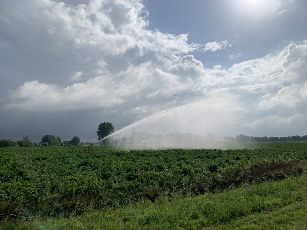 Lezing Tobben of Toppen? Een zonnige visie op de landbouw