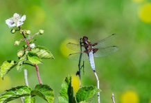 O’ wat ben je mooi