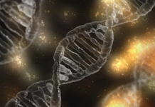 Waarom life sciences dé branche van morgen is voor werkzoekenden *