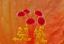 O’ wat ben je mooi