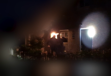 NVWA en FIOD houden verdachte aan grootschalige illegale vogelhandel (update)