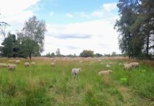 O’ wat ben je mooi