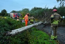 Boom omgewaaid door storm in Moergestel