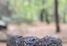 Maand van de Geschiedenis: Route langs munitiedepot oorlog in Oisterwijkse bossen