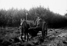 Beeldbank Oisterwijk: De bosschen en vennen van Oisterwijk – film uit 1917