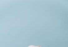 Waarom een voorgevormde bh belangrijk is *