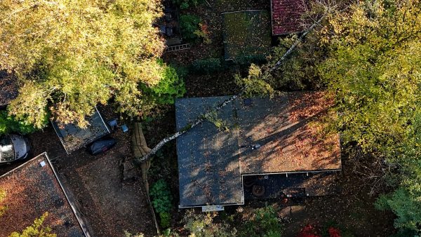 Eerste stormschade in Oisterwijk (Update) Eerste stormschade in Oisterwijk (Update)