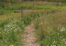 IVN Oisterwijk realiseert educatieve natuurtuin
