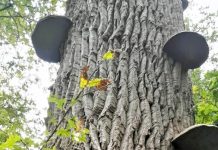 O’ wat ben je mooi