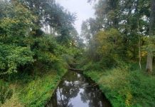 O’ wat ben je mooi