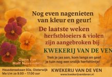 Kwekerij Van de Ven sluit seizoen met vrolijk herfsttintje *