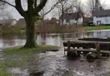 Aanpak van wateroverlast en verdroging in Oisterwijk: Waar is het gevoel van urgentie?