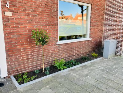 Gemeente Oisterwijk: Inwoners ervaren steeds vaker gevolgen van klimaatverandering blijkt uit uitslagen Burgerpanel