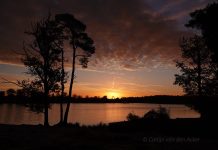 O’ wat ben je mooi