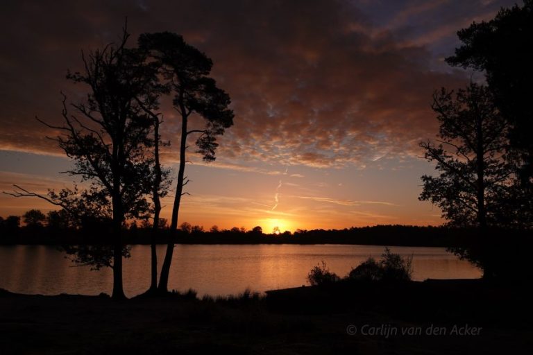 De iPhone als hulpmiddel voor lokale fotografen in Oisterwijk *