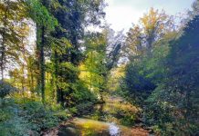 O’ wat ben je mooi