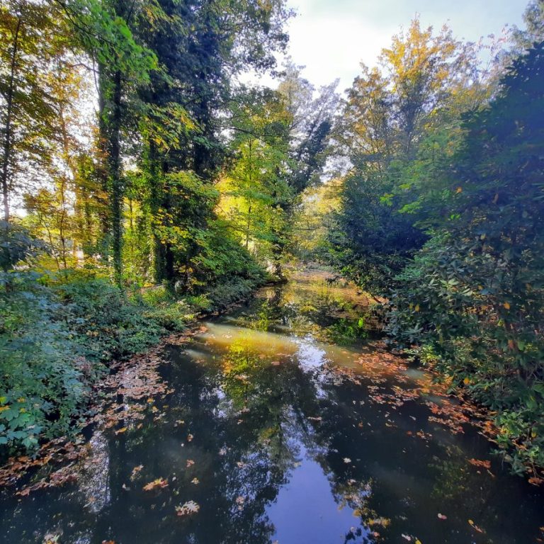 O’ wat ben je mooi