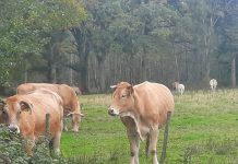 O’ wat ben je mooi