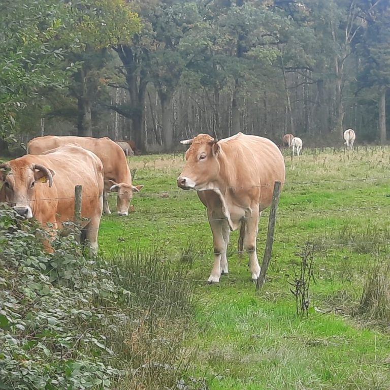 O’ wat ben je mooi