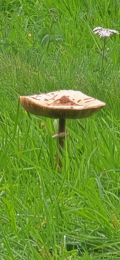 O’ wat ben je mooi