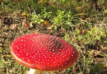 O’ wat ben je mooi