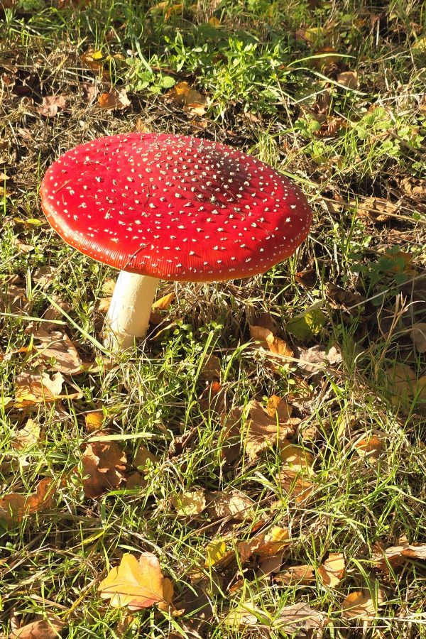 O’ wat ben je mooi