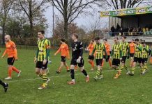 Nemelaer Haaren verliest van de Bataven