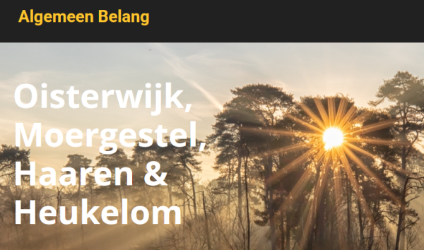 Algemeen Belang heeft eindelijk weer een eigen website