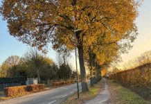 Partij PGB: Veilig fietsen tussen Haaren en Oisterwijk