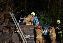Meerdere hulpdiensten naar auto tegen boom in Oisterwijk